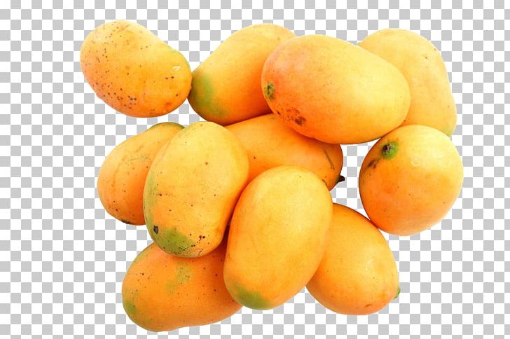 Mango Fruit Photography Auglis PNG, Clipart, Apricot, Auglis, Bouea Macrophylla, Citrus, Delicious Free PNG Download