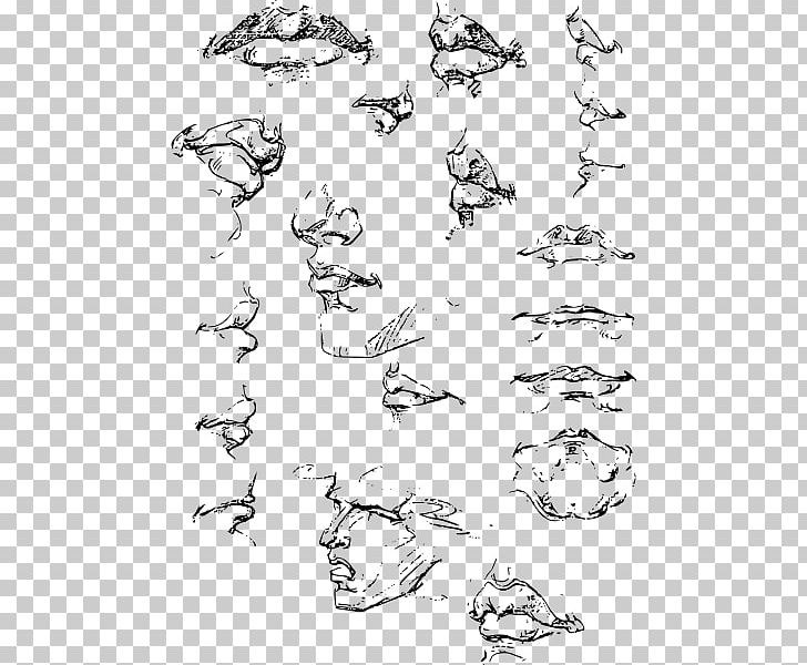 Constructive Anatomy Complete Guide To Drawing From Life Painting Sketch PNG, Clipart, Angle, Area, Art, Artist, Artwork Free PNG Download