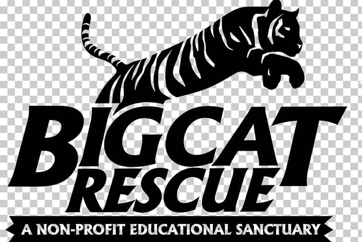 Tiger Big Cat Rescue Cougar Logo PNG, Clipart, Animal, Animal Rescue Group, Animals, Animal Sanctuary, Big Cat Free PNG Download
