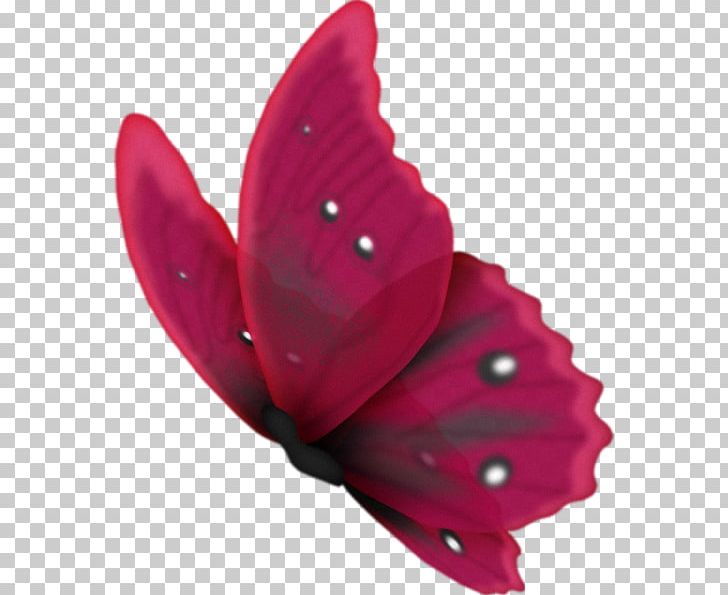 Butterfly PhotoScape PNG, Clipart, Animal, Art, Blog, Butterflies And Moths, Butterfly Free PNG Download