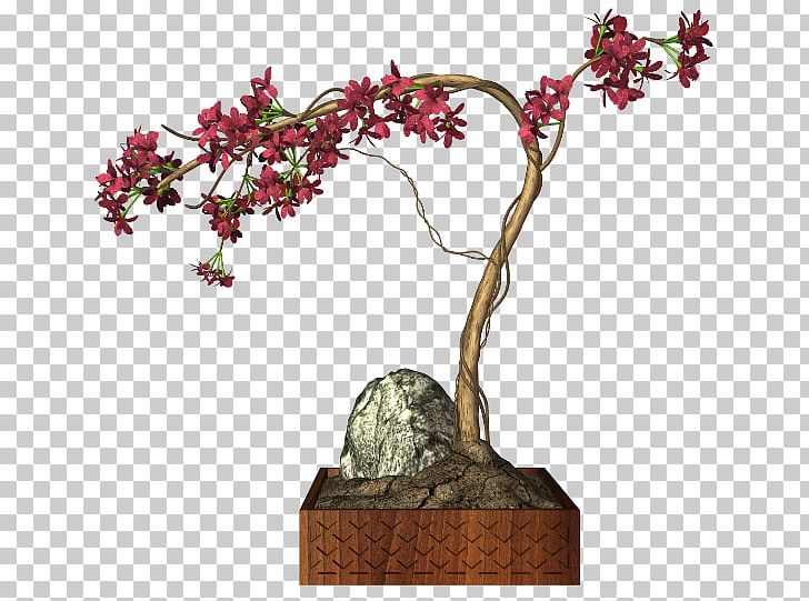 Chinese Sweet Plum Flower PNG, Clipart, Bonsai, Branch, Cicek Resimleri, Computer Icons, Encapsulated Postscript Free PNG Download