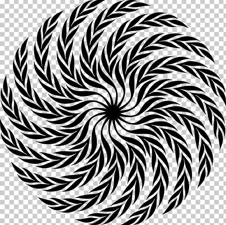 Golden Spiral Logarithmic Spiral Pattern PNG, Clipart, Archimedean Spiral, Art, Biomimetics, Black And White, Circle Free PNG Download