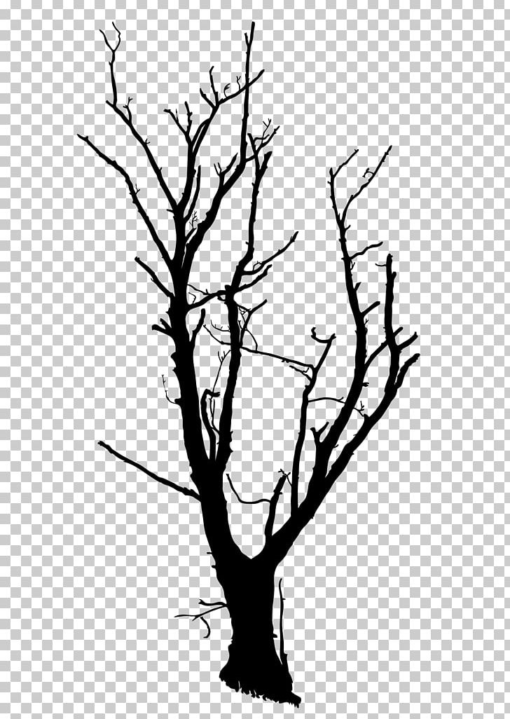 Twig Line Art Silhouette Plant Stem PNG, Clipart,  Free PNG Download