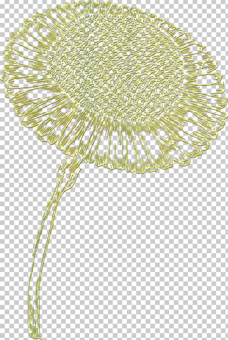 Flower PNG, Clipart, Delicate, Flower, Flowering Plant, Flowers, Nature Free PNG Download