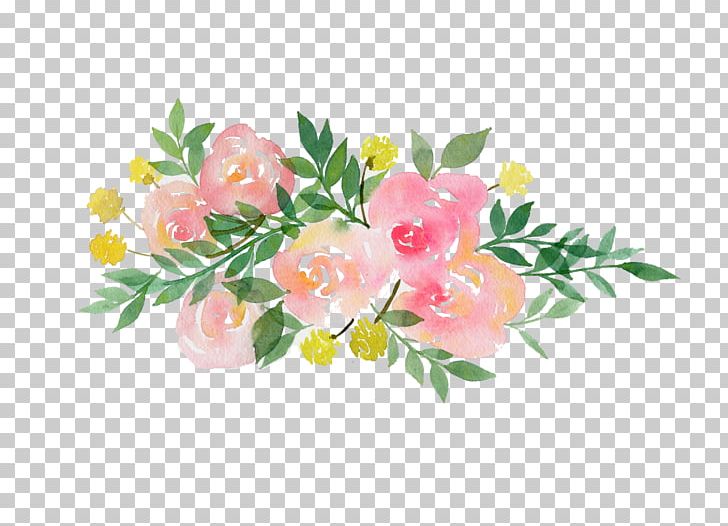 Garden Roses Paulina Pasticceria D'Autore Cut Flowers Floral Design PNG, Clipart,  Free PNG Download