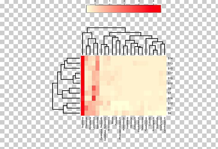 Heat Map Microbiota Cluster Analysis Plot Dendrogram PNG, Clipart, Angle, Area, Brand, Cluster Analysis, Color Free PNG Download