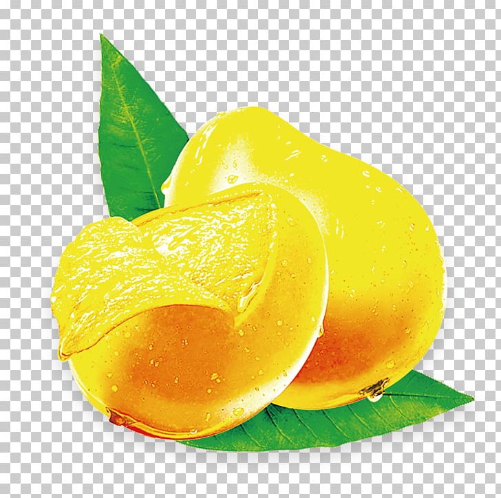 Juice Mango Fruit Lemon PNG, Clipart, Citric Acid, Citron, Diet Food, Food, Food Culture Free PNG Download