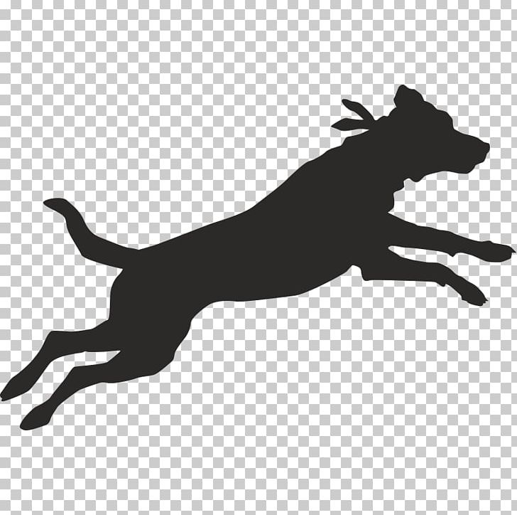 Dog Tired San Diego Running Room Sit Means Sit Animal Rescue Group PNG, Clipart, Animal Rescue Group, Black, Black And White, Crazy Dog Lady Mug, Dog Free PNG Download