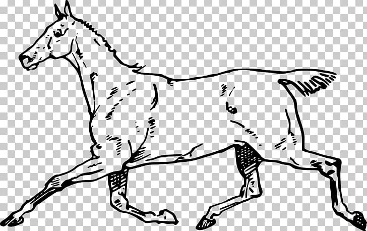 Horse Dog PNG, Clipart, Animal, Animal Figure, Animals, Art, Black And White Free PNG Download