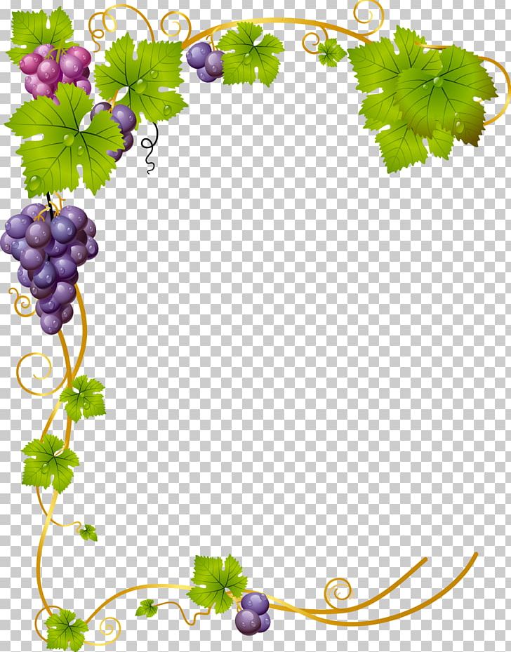 Common Grape Vine Wine PNG, Clipart, Border Frames, Branch, Brown, Brown Frame, Common Grape Vine Free PNG Download