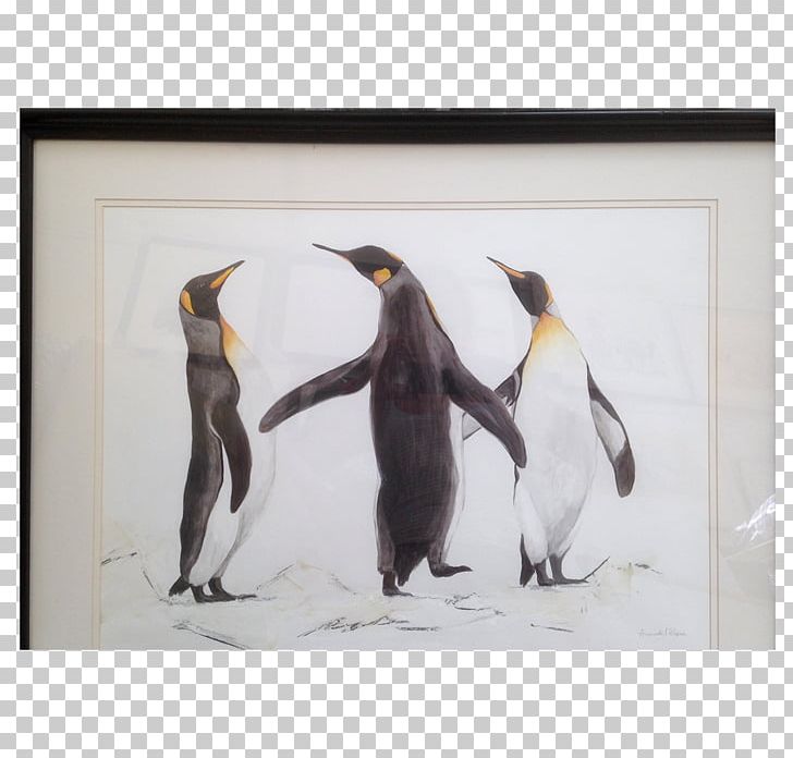 King Penguin Flightless Bird Beak PNG, Clipart, Animals, Beak, Bird, Fauna, Flightless Bird Free PNG Download