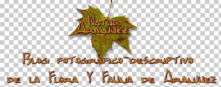 Logo Tree Brand Font PNG, Clipart, Brand, Grass, Hemerocallis Fulva, Logo, Plant Free PNG Download
