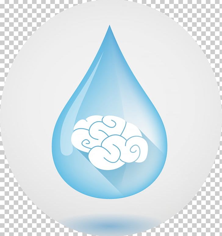 Water Human Body Drop Liquid Food PNG, Clipart, Aqua, Brain, Breathing, Circle, Drop Free PNG Download