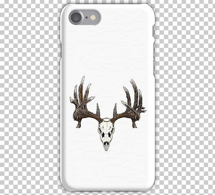 White-tailed Deer Elk Mule Deer Skull PNG, Clipart, Animals, Antler, Decal, Deer, Deer Hunting Free PNG Download
