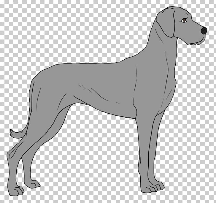 Ancient Dog Breeds Great Dane Sloughi Sporting Group PNG, Clipart, Ancient Dog Breeds, Breed, Carnivoran, Dog, Dog Breed Free PNG Download