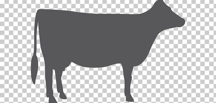 Dairy Cattle Milk Calf Goat Beef Cattle PNG, Clipart, Beef, Beef Cattle, Black, Black And White, Calf Free PNG Download