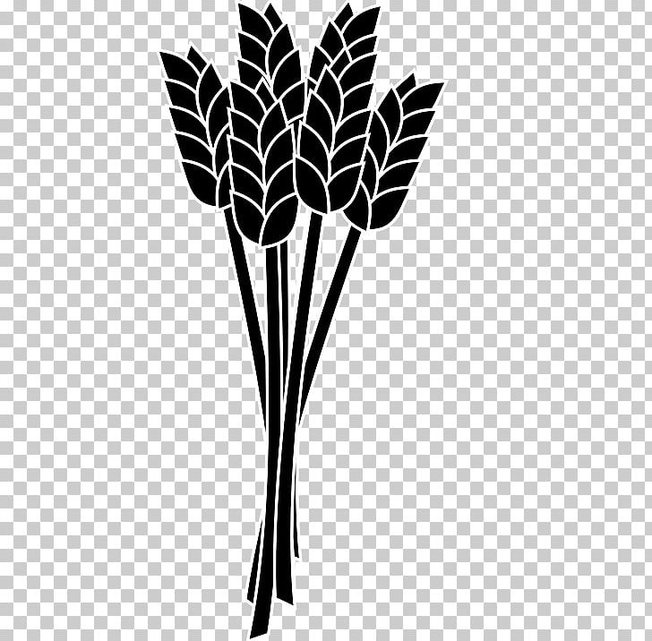 Wheat Ear PNG, Clipart, Arecales, Black And White, Branch, Cereal, Crop Free PNG Download
