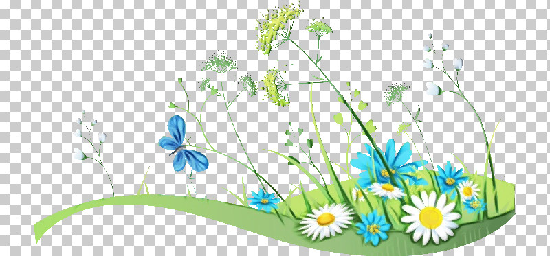 Daisy PNG, Clipart, Camomile, Chamomile, Daisy, Flower, Grass Free PNG Download