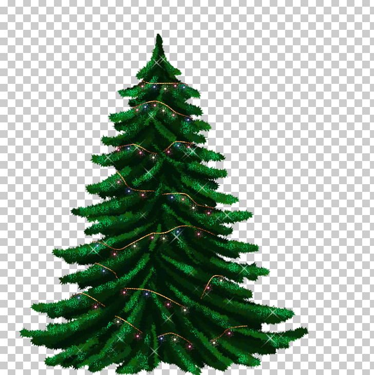 Christmas Tree Fir Guirlande De Noël Garland PNG, Clipart, Christmas, Christmas Decoration, Christmas Ornament, Christmas Tree, Conifer Free PNG Download
