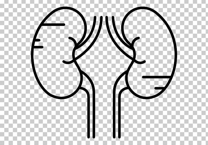 Kidney Human Body Computer Icons PNG, Clipart, Black, Circle, Computer Icons, Encapsulated Postscript, Excretory System Free PNG Download