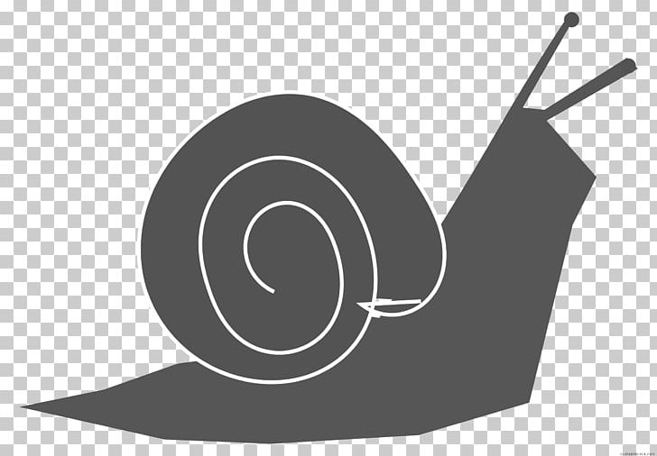 Snail Slug Drawing Favicon PNG, Clipart, Animal, Animals, Arm, Black And White, Brand Free PNG Download
