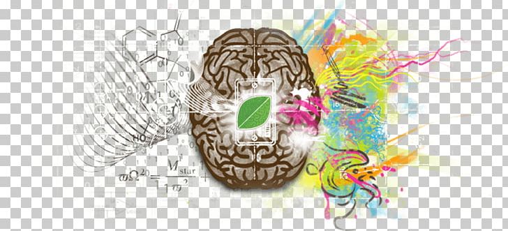 Engineering Creativity Anatomy Intelligence Human Body PNG, Clipart, Anatomy, Brain, Brain Mapping, Cerebral Hemisphere, Creativity Free PNG Download