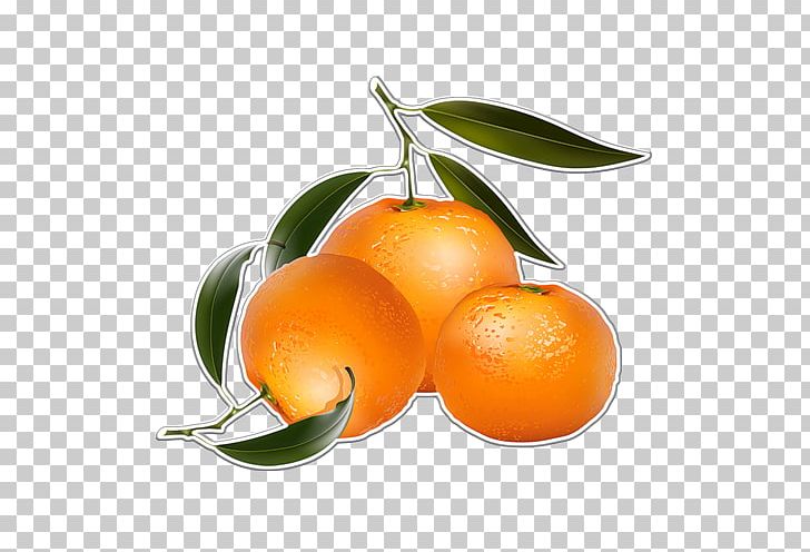 Orange Juice Mandarin Orange PNG, Clipart, Bitter Orange, Calamondin, Cilek, Cilek Resimleri, Citric Acid Free PNG Download