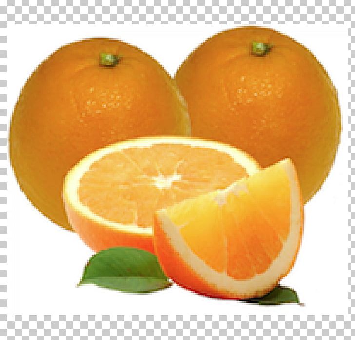 Mandarin Orange Seedless Fruit Valencia Orange PNG, Clipart, Bitter Orange, Cara Cara Navel, Citric Acid, Citrus, Clementine Free PNG Download