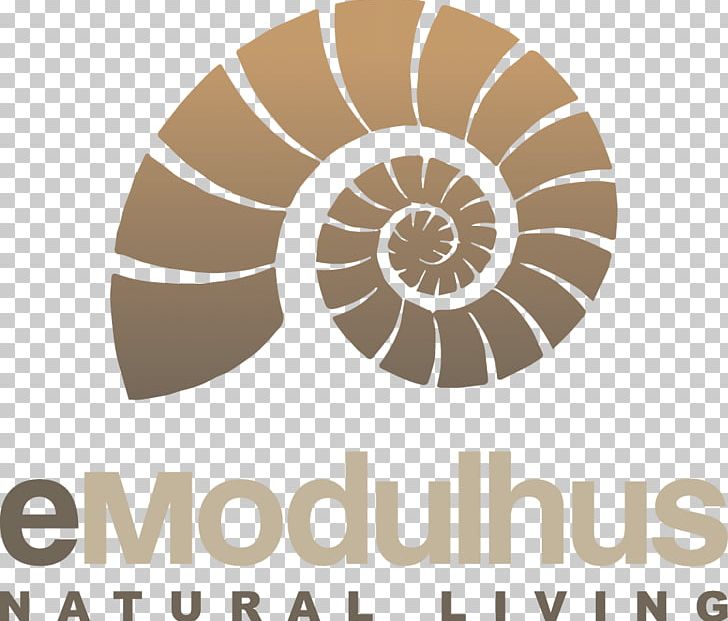 Seashell Gastropod Shell Nautilidae Snail PNG, Clipart, Animals, Brand, Circle, Conch, Emo Free PNG Download
