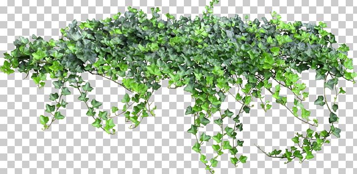 Texture Vine PNG, Clipart, Alice In Wonderland, Animation, Devils Town, Download, Fairy Tale Free PNG Download