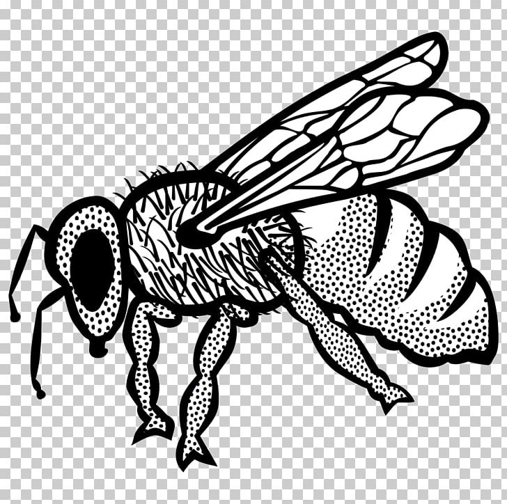 Bee Insect Line Art PNG, Clipart, Art, Arthropod, Artwork, Bee, Black And White Free PNG Download