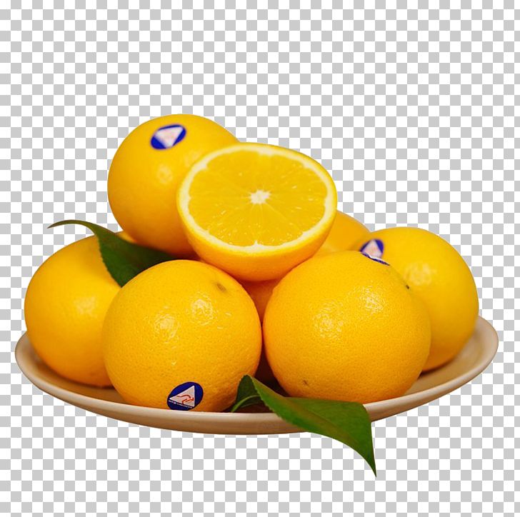 Clementine Australia Tangerine Meyer Lemon PNG, Clipart, Australia Flag, Australiamap, Australia Map, Australia Stamp, Citric Acid Free PNG Download