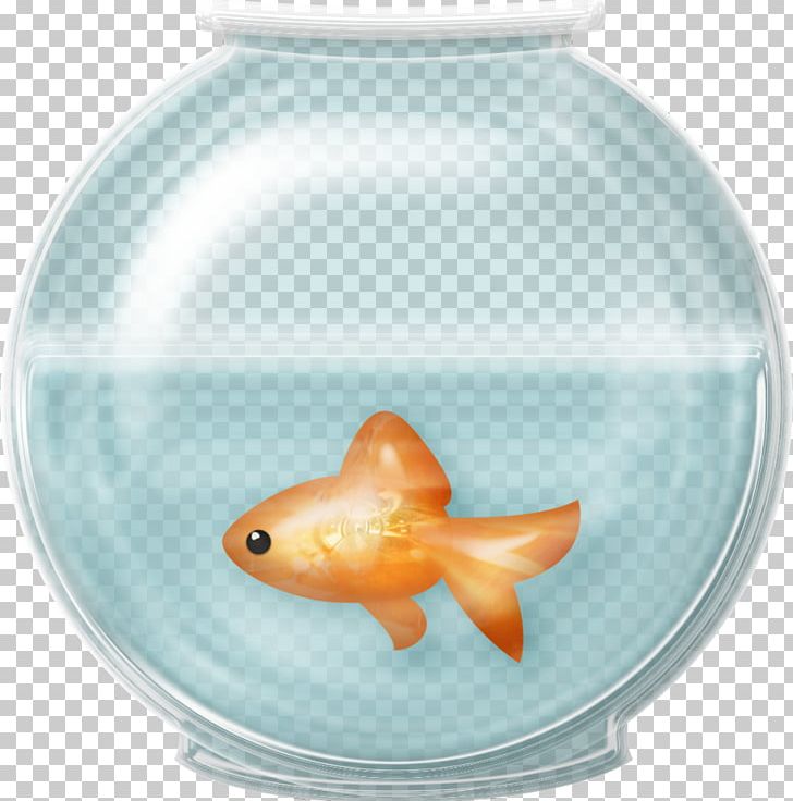 Goldfish Aquarium PNG, Clipart, Animals, Aquarium, Bowl, Bowl Clipart, Download Free PNG Download