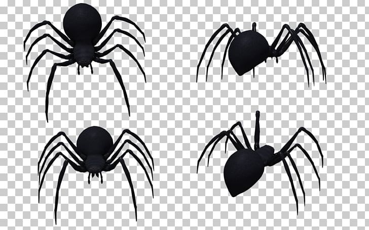 Insect Arachnid White Pest PNG, Clipart, Animals, Arachnid, Arthropod, Black And White, Black Widow Free PNG Download