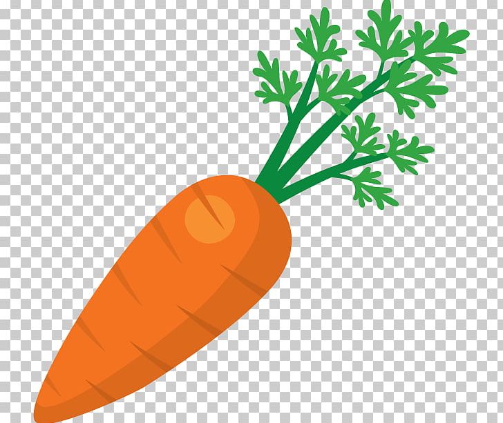 juice fruit salad carrot png clipart carrot carrots clip art drinking fish free png download juice fruit salad carrot png clipart