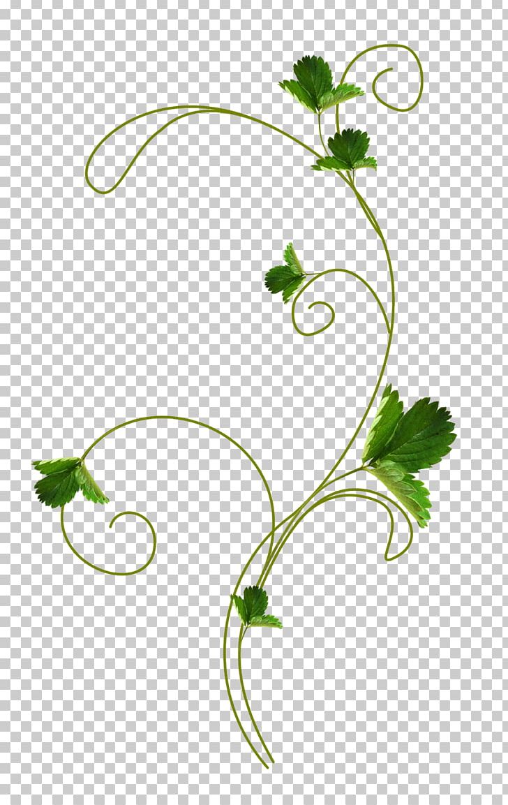 Strawberry Portable Network Graphics Fruit Leaf PNG, Clipart, Berries, Berry, Branch, Flora, Floral Design Free PNG Download