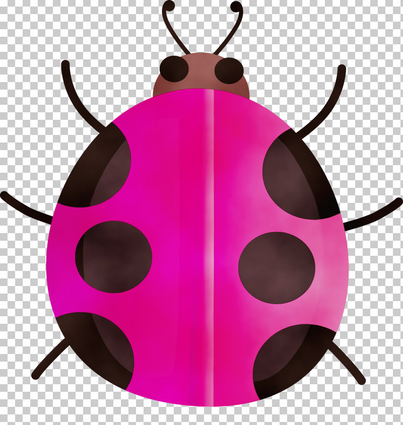 Pink Insect Magenta Beetle Pest PNG, Clipart, Beetle, Insect, Jewel Bugs, Magenta, Paint Free PNG Download
