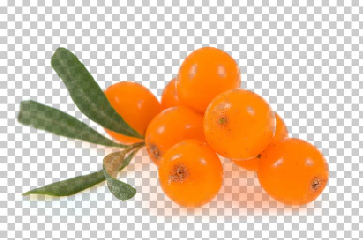 Seaberry Sea Buckthorn Oil Fruit PNG, Clipart, Antioxidant, Berry, Buckthorn, Food, Fruit Free PNG Download