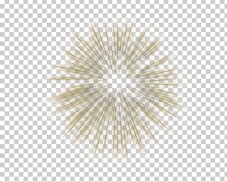 Animation Fireworks Art Museum PNG, Clipart, Animation, Art Museum, Blue, Cartoon, Color Free PNG Download