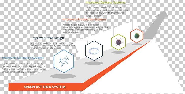 Brand Line Angle PNG, Clipart, Angle, Art, Brand, Diagram, Dna Free PNG Download