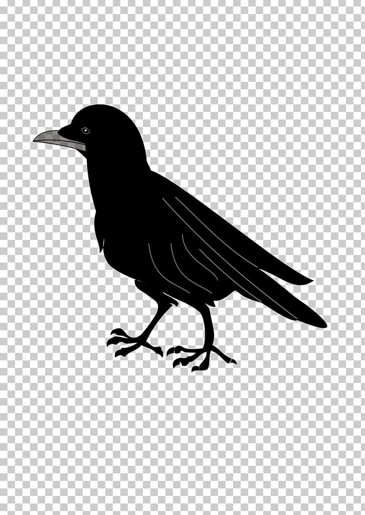 Coat Of Arms Blazon Common Raven PNG, Clipart, American Crow, Beak, Bird, Bird Clipart, Black And White Free PNG Download