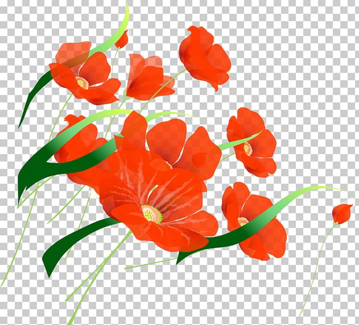 International Workers' Day Ansichtkaart Holiday May 1 PNG, Clipart, Art, Birthday, Coquelicot, Cut Flowers, Daytime Free PNG Download