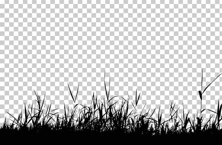 Silhouette Photography PNG, Clipart, Angle, Artificial Grass, Black, Black And White, Cartoon Free PNG Download