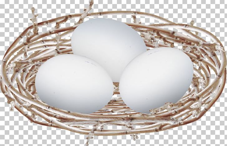 Edible Bird's Nest Egg Bird Nest PNG, Clipart, Animals, Bird, Bird Eggs, Bird Nest, Clutch Free PNG Download