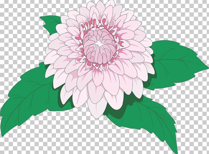 Flower Dahlia Rose PNG, Clipart, Chrysanths, Computer Software, Cut Flowers, Dahlia, Daisy Family Free PNG Download