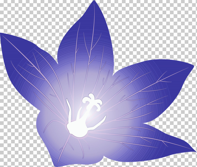 Lavender PNG, Clipart, Balloon Flower, Biology, Cobalt, Cobalt Blue, Flower Free PNG Download