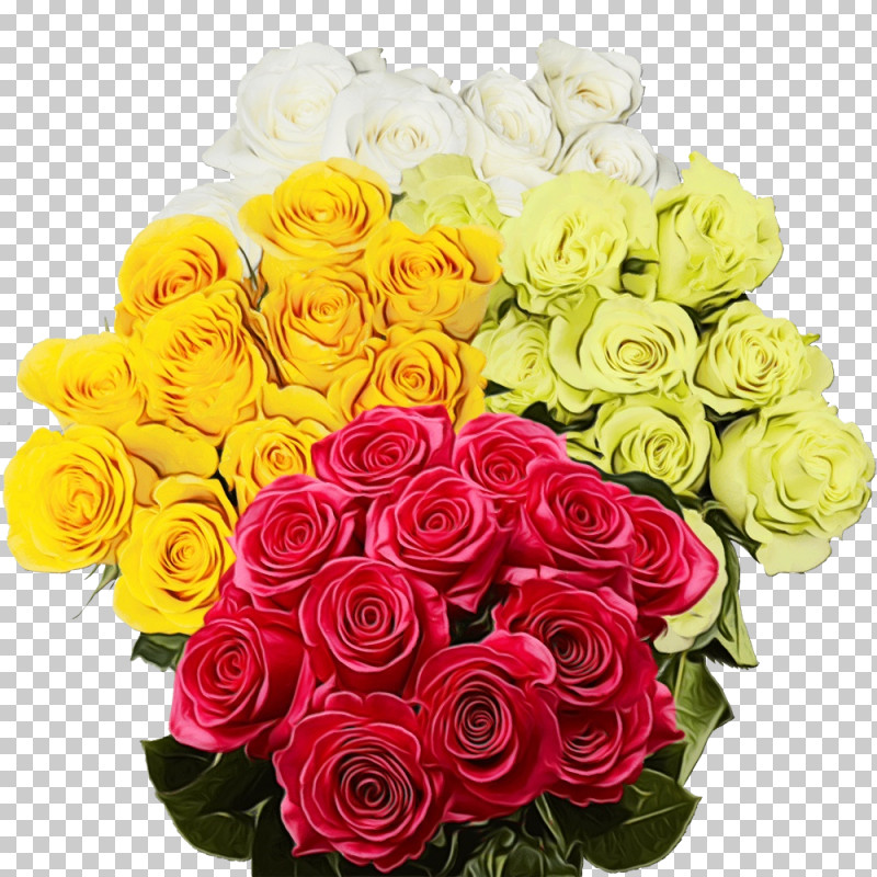 Floral Design PNG, Clipart, Cut Flowers, Dozen, Floral Design, Flower, Flower Bouquet Free PNG Download