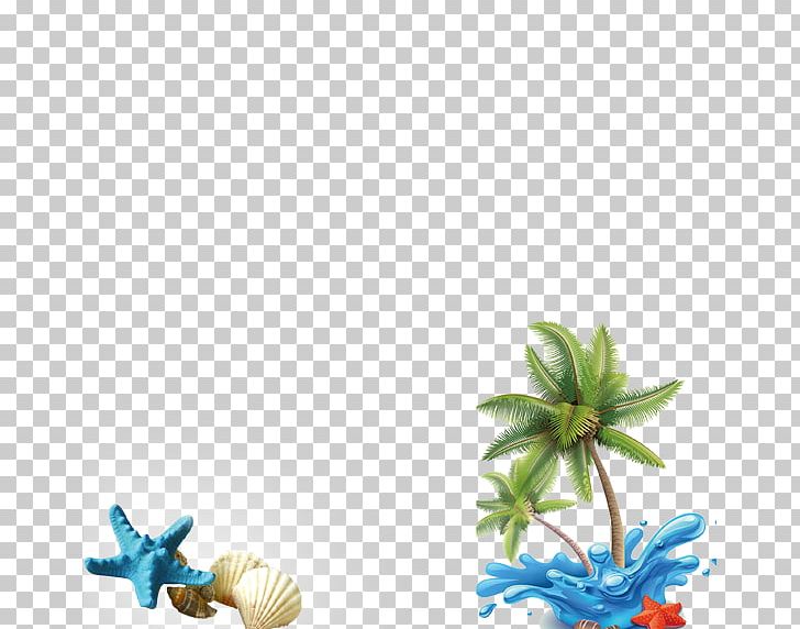 Coconut Water Arecaceae Illustration PNG, Clipart, Animals, Beach, Blue, Blue Starfish, Cartoon Starfish Free PNG Download