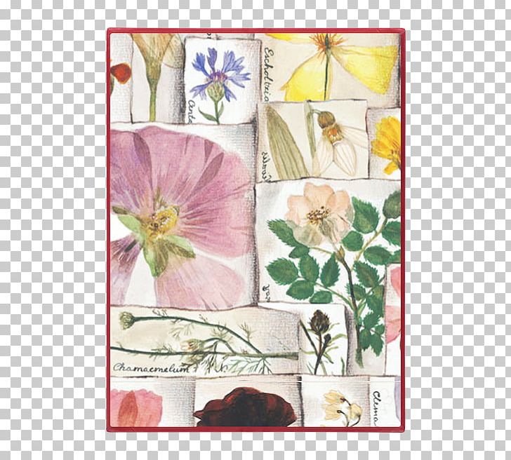 Floral Design Paper Frames Rectangle PNG, Clipart, Art, Artwork, Dried Flower, Flora, Floral Design Free PNG Download