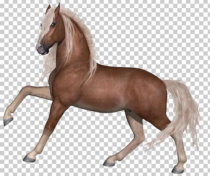 Horse Stallion Foal Mane PNG, Clipart, Animal, Animals, Bridle, Bronco, Drawing Free PNG Download